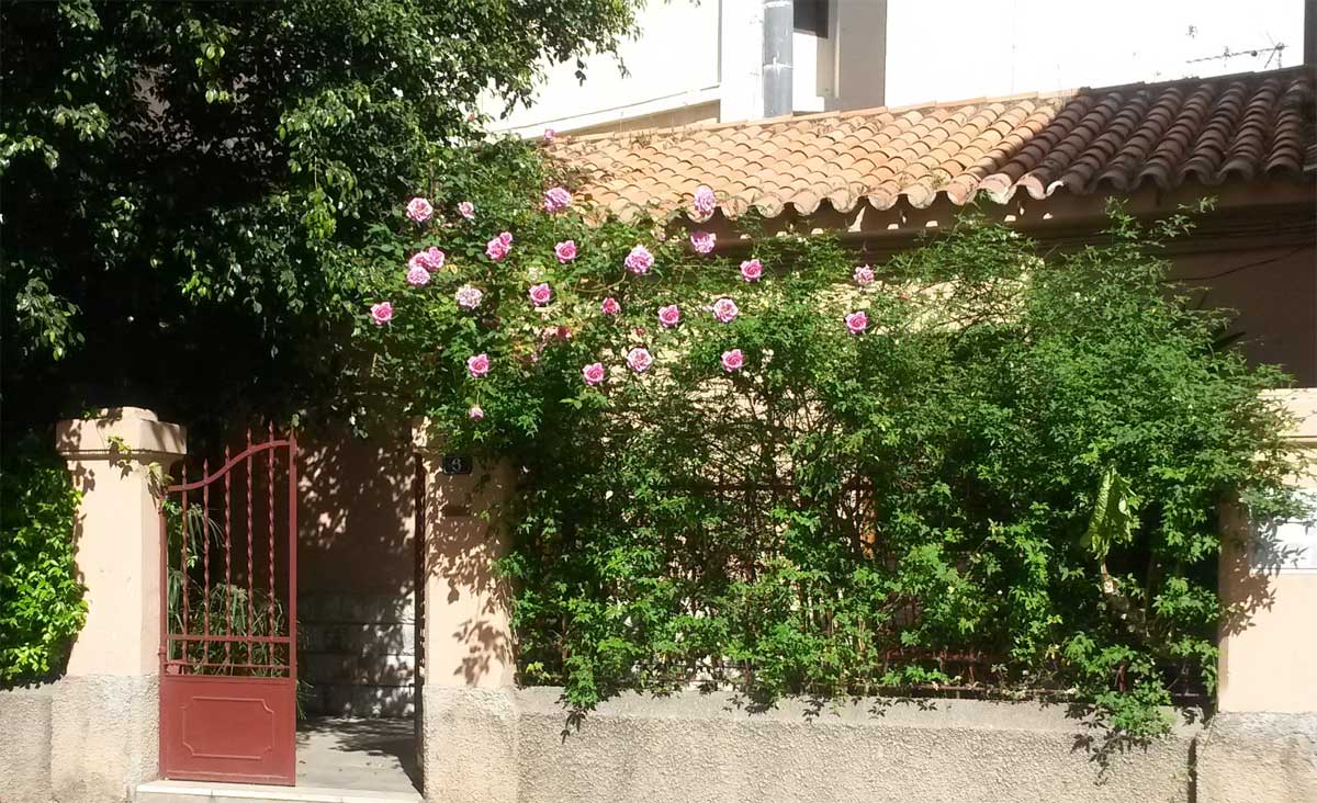 Contacta amb Corendins